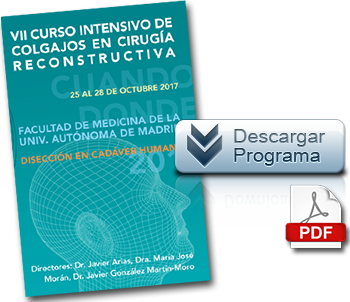 Descarga el Programa del Curso de Cirugia Reconstructiva en pdf